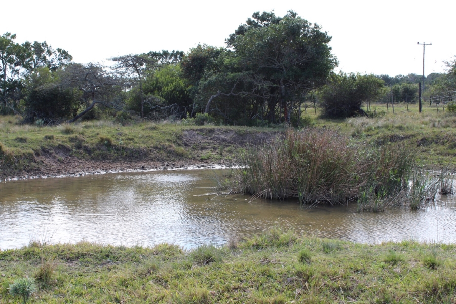 5 Bedroom Property for Sale in Bathurst Eastern Cape